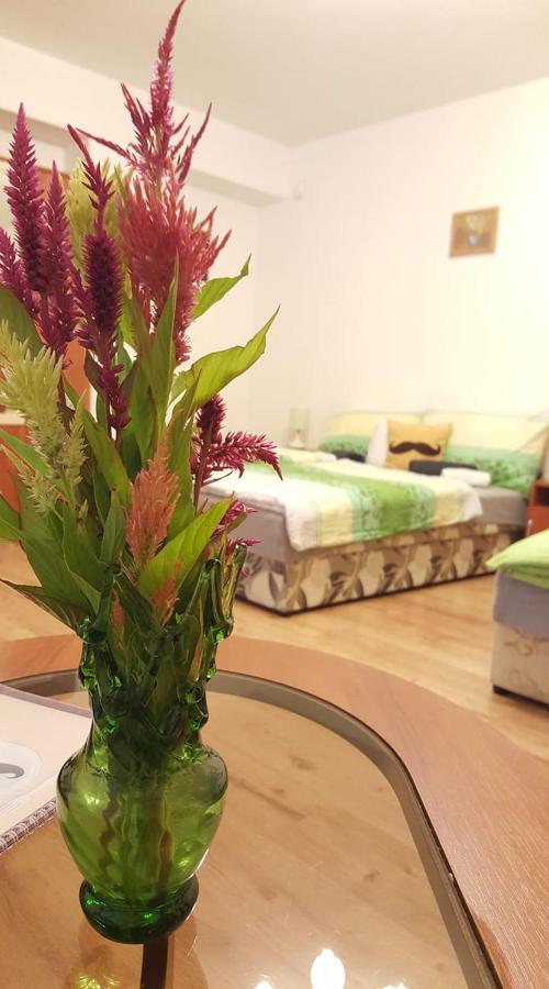 Bajusz Vendeghaz Hotel Tornyosnemeti ภายนอก รูปภาพ