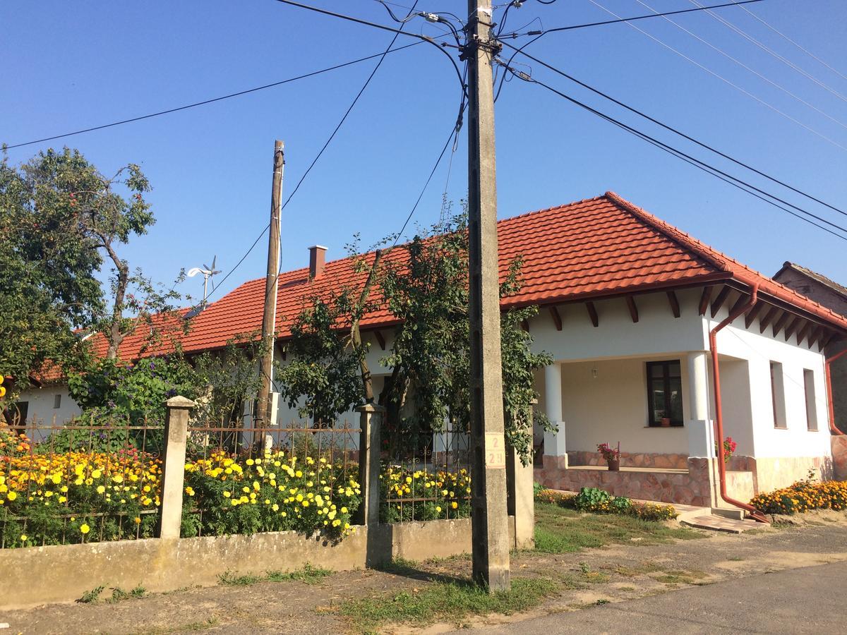 Bajusz Vendeghaz Hotel Tornyosnemeti ภายนอก รูปภาพ