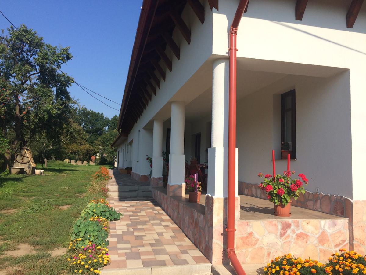 Bajusz Vendeghaz Hotel Tornyosnemeti ภายนอก รูปภาพ