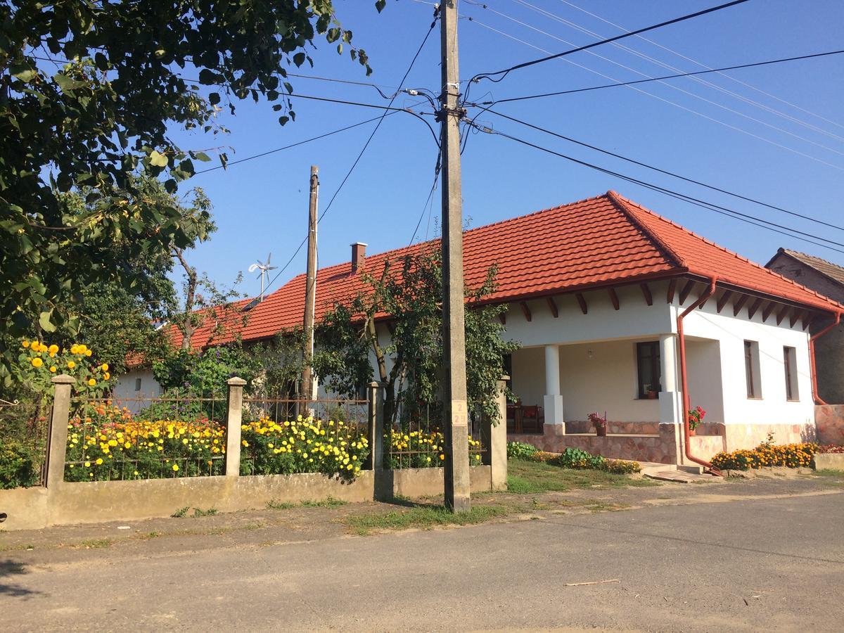 Bajusz Vendeghaz Hotel Tornyosnemeti ภายนอก รูปภาพ